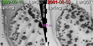 Dark Dune Spots (DDSs) on Mars
