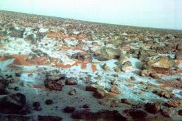 Frost on Mars at a Viking landing site
