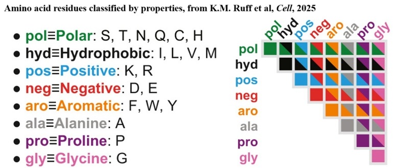 Amino acid residues classified by properties, from Kiersten M. Ruff et al, doi:10.1016/j.cell.2025.10.019, Cell, 2025.