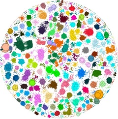 Contingency, repeatability, and predictability in the evolution of a prokaryotic pangenome