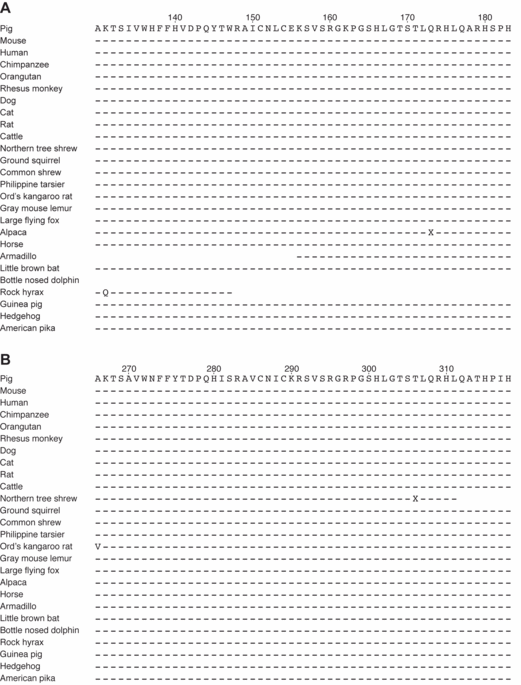Two sequences of 54 amino acids each in ZBED6