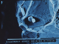 meteorite photo