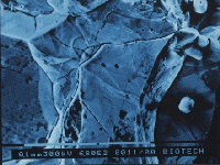 meteorite photo