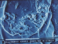 meteorite photo