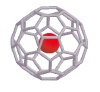 Gas molecule in buckyball