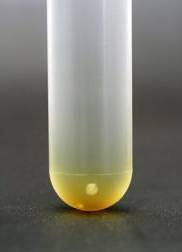 centrifuge tube