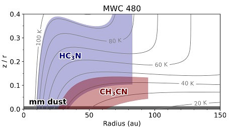 detection of large organic molecules in circumstellar disks