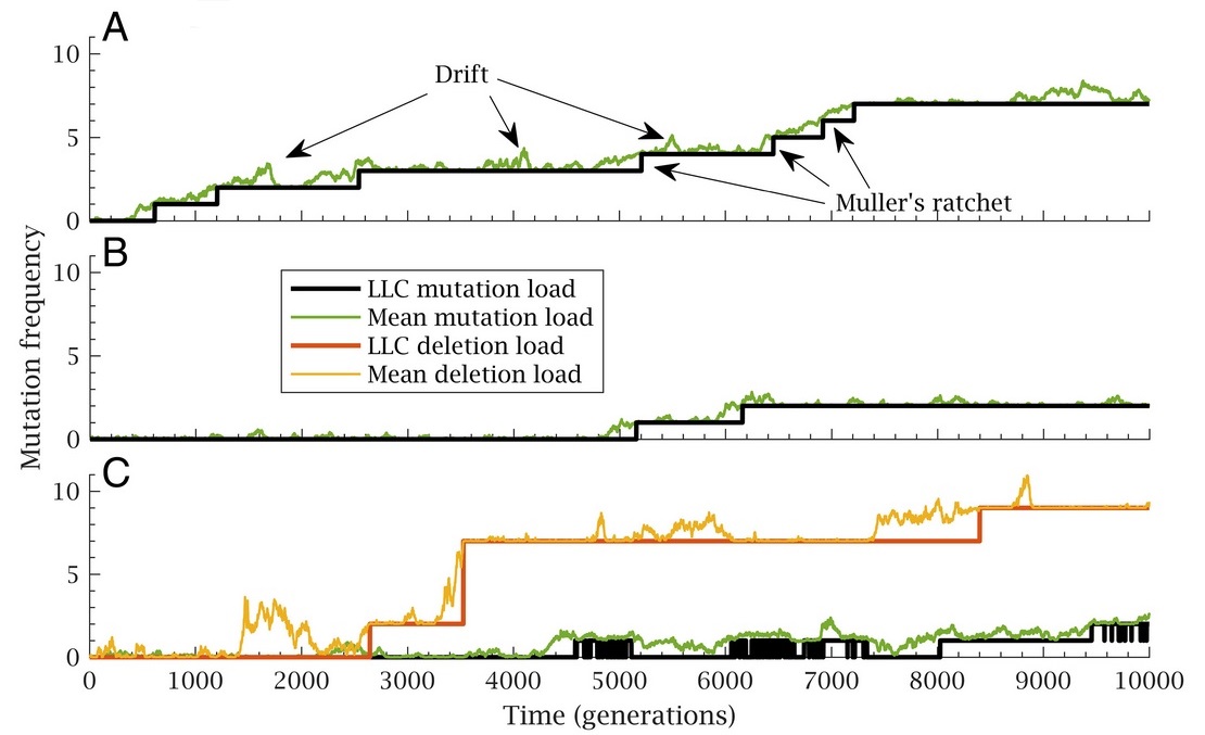 Marco Colnaghi et al., PNAS, 2022