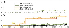 Colnaghi et al., PNAS, 2022 thumbnail
