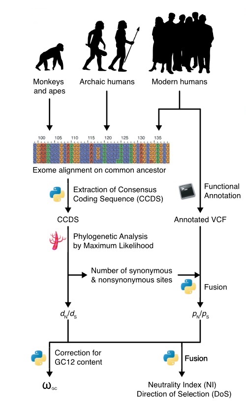 Dumas et al., 2021