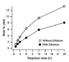 with/without ethidium