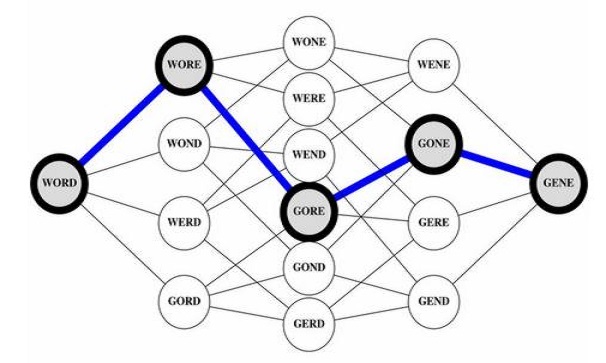 protein space analogy with words