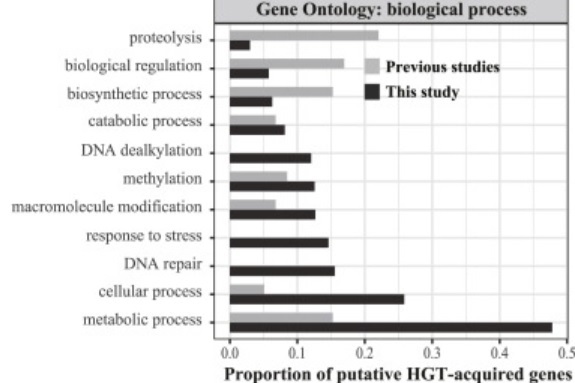 Insect gene categories - gained from microbes