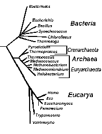 3 Domains