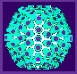 virus particle