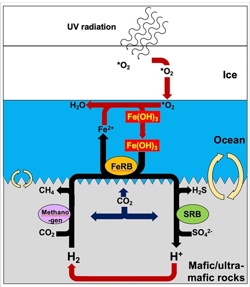 Bioenergetics of iron snow fueling life on Europa