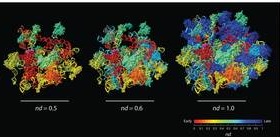 If the evolutionary build-up of ribosomal proteins and RNA and the interactions between them occurred gradually, step-by-step, the origin of the ribosome cannot be the product of an RNA world.