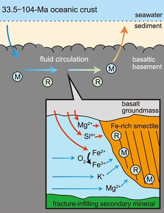 Deep microbial proliferation at the basalt interface