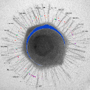 Mimivirus FROM GiantVirus.org