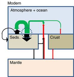 Sedimentary organic carbon is oxidized with little recycling. Atmospheric oxygen is controlled by feedbacks on carbon burial.