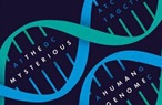 ...The virus inserted itself some 650 times or so into the genome