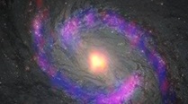 Complex organic molecules are abundant in the circumnuclear disk (CND)