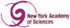 Molecular Strategies in Biological Evolution