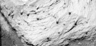 Opportunity Panoramic Camera, sol 88