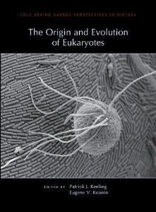 The Origin of Eukaryotes