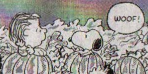 Peanuts