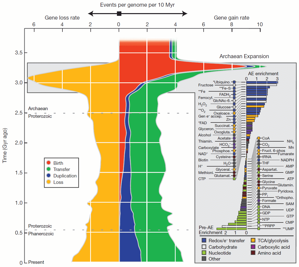 Rates of macroevolutionary events over time