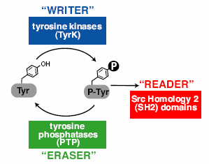 read/write/erase