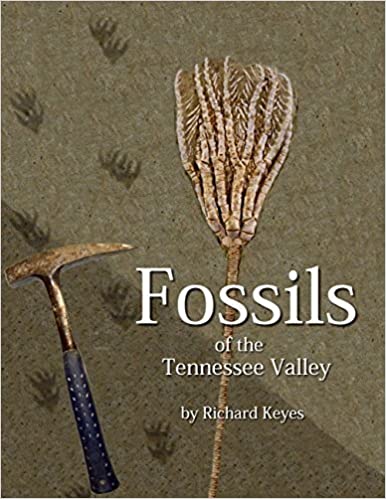 Fossils of the Tennessee Valley