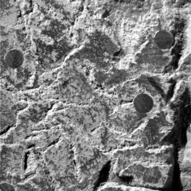 erased fossil on Mars