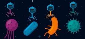 Tail piracy enables cross-species DNA delivery by capsid-forming phage-inducible chromosomal islands - Trends in Microbiology