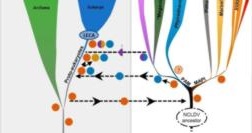 Essential eukaryotic genes are very old and are shared with large viruses.