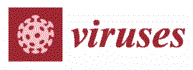 Viruses magazine logo